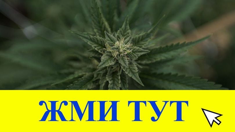 Купить наркотики в Тамбове